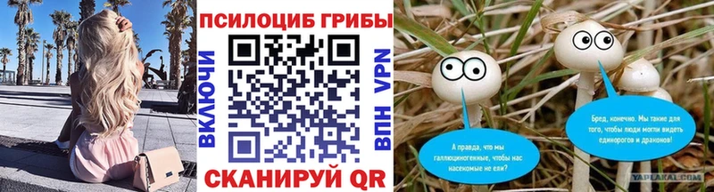 даркнет сайт  Талдом  площадка телеграм  Галлюциногенные грибы Psilocybe 