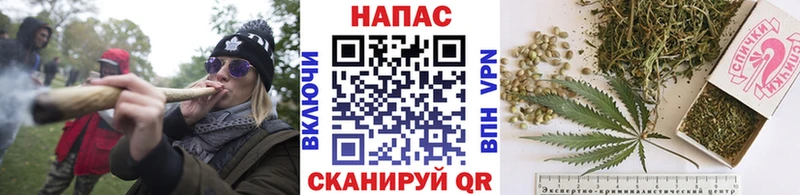 Бошки марихуана сатива Талдом
